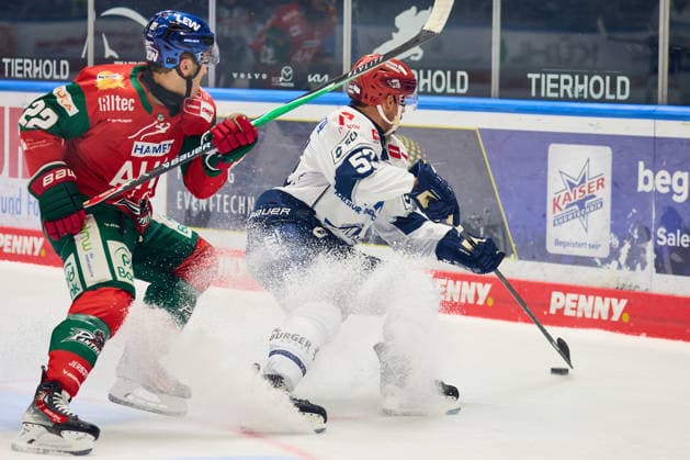 Face-off, duel between Noel Hoefenmayer of the Augsburger Panther, 22, and Alex Trivellato of the Schwenninger Wild Wings, 53 (GER), Augsburger Panther vs. Schwenninger Wild Wings, ice hockey, PENNY DEL, Matchday 2, 2026–2027 season, September 20, 2026 (GER), Augsburger Panther vs. Schwenninger Wild Wings, ice hockey, PENNY DEL, Matchday 2, 2026–2027 season, September 20, 2026, Germany Copyright: xEibner-Pressefoto GeraldxOelze-dexStoppanyx EP_ODS