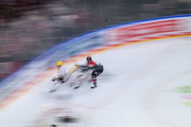COLOGNE, GERMANY - 20 SEPTEMBER, 2026: - The PENNY DEL Ice hockey, Eishockey match Koelner Haie vs. Loewen Frankfurt at LANXESS arena.  Copyright: xVitaliixKliuievx