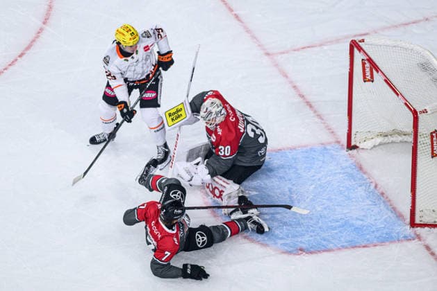COLOGNE, GERMANY - 20 SEPTEMBER, 2026: - The PENNY DEL Ice hockey, Eishockey match Koelner Haie vs. Loewen Frankfurt at LANXESS arena.  Copyright: xVitaliixKliuievx