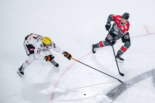 COLOGNE, GERMANY - 20 SEPTEMBER, 2026: Daniel Pfaffengut - The PENNY DEL Ice hockey, Eishockey match Koelner Haie vs. Loewen Frankfurt at LANXESS arena.  Copyright: xVitaliixKliuievx