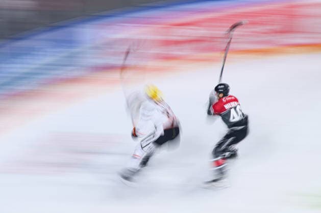 COLOGNE, GERMANY - 20 SEPTEMBER, 2026: - The PENNY DEL Ice hockey, Eishockey match Koelner Haie vs. Loewen Frankfurt at LANXESS arena.  Copyright: xVitaliixKliuievx