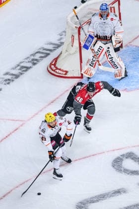 COLOGNE, GERMANY - 20 SEPTEMBER, 2026: - The PENNY DEL Ice hockey, Eishockey match Koelner Haie vs. Loewen Frankfurt at LANXESS arena.  Copyright: xVitaliixKliuievx