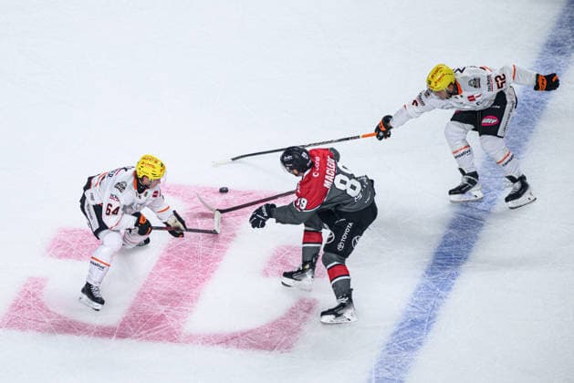 COLOGNE, GERMANY - 20 SEPTEMBER, 2026: Markus Schweiger, Gregor MacLeod, Maksim Matushkin - The PENNY DEL Ice hockey, Eishockey match Koelner Haie vs. Loewen Frankfurt at LANXESS arena.  Copyright: xVitaliixKliuievx