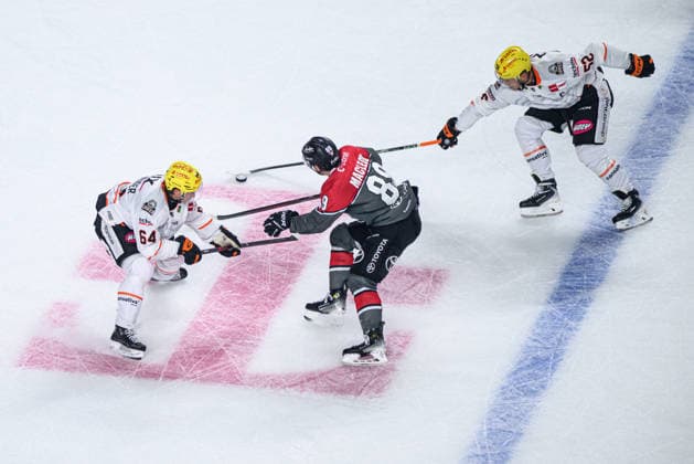 COLOGNE, GERMANY - 20 SEPTEMBER, 2026: Markus Schweiger, Gregor MacLeod, Maksim Matushkin - The PENNY DEL Ice hockey, Eishockey match Koelner Haie vs. Loewen Frankfurt at LANXESS arena.  Copyright: xVitaliixKliuievx