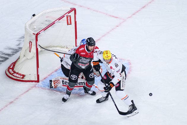 COLOGNE, GERMANY - 20 SEPTEMBER, 2026: - The PENNY DEL Ice hockey, Eishockey match Koelner Haie vs. Loewen Frankfurt at LANXESS arena.  Copyright: xVitaliixKliuievx
