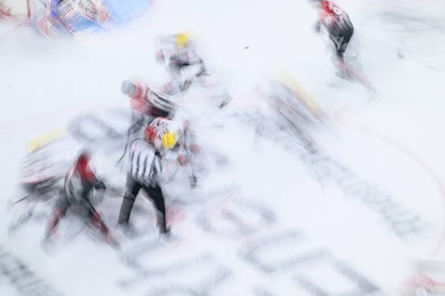 COLOGNE, GERMANY - 20 SEPTEMBER, 2026: - The PENNY DEL Ice hockey, Eishockey match Koelner Haie vs. Loewen Frankfurt at LANXESS arena.  Copyright: xVitaliixKliuievx