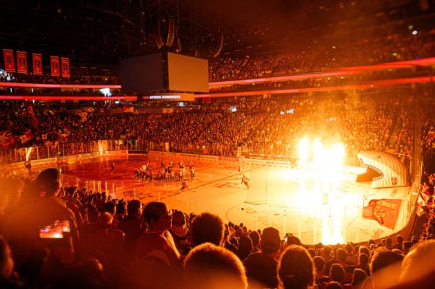 COLOGNE, GERMANY - 20 SEPTEMBER, 2026: - The PENNY DEL Ice hockey, Eishockey match Koelner Haie vs. Loewen Frankfurt at LANXESS arena.  Copyright: xVitaliixKliuievx
