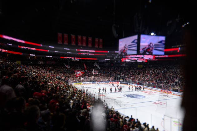 COLOGNE, GERMANY - 20 SEPTEMBER, 2026: - The PENNY DEL Ice hockey, Eishockey match Koelner Haie vs. Loewen Frankfurt at LANXESS arena.  Copyright: xVitaliixKliuievx