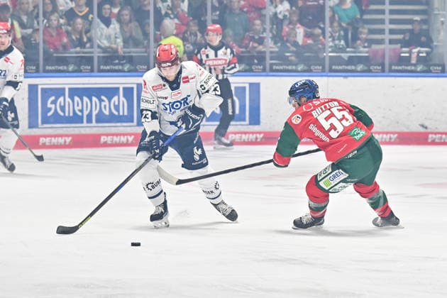 Penny DEL: Augsburger Panther vs. Schwenninger Wild Wings, September 20, 2026, AUGSBURG, GERMANY, September 20. Pictured: A face-off between Reed LEBSTER (Schwenninger Wild Wings, No. 23) and Ryan BUTTON (Augsburg Panthers, No. 55) during the Penny DEL game between the Augsburg Panthers and the Schwenninger Wild Wings on Matchday 2 at Curt Frenzel Stadium. Copyright: xBEAUTIFULxSPORTS Goldbergx