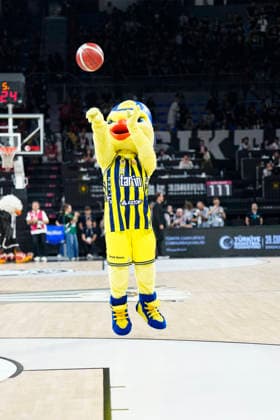 Fenerbahce Tarfin v Besiktas 39th Turkish Presidential Cup Yellow the canary throws ball during the 39th Turkish Presidential Cup match between Fenerbahce Tarfin and Besiktas on September 22, 2026 in Istanbul, Turkey. Istanbul Turkey Copyright: xYagizxGurtug PSxImagesxYagizxGurtug PSxImagesx
