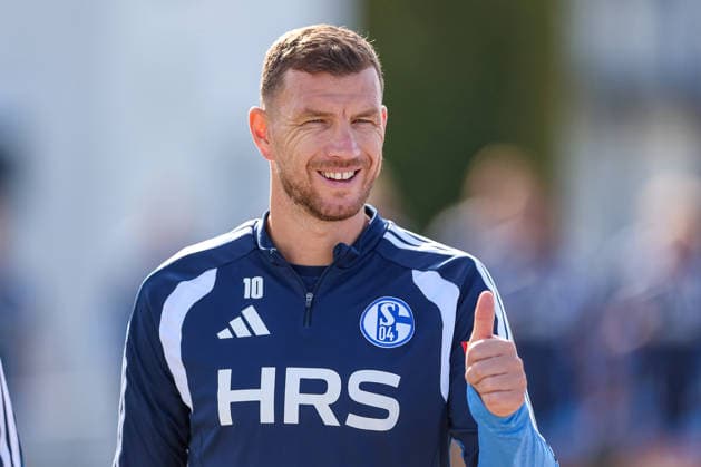 September 23, 2026, Soccer, FC Schalke 04 practice, Edin Dzeko, FC Schalke 04, optimistic, cheerful, Gelsenkirchen, FC Schalke 04 training facility, North Rhine-Westphalia, Germany, xRHR, PHOTO YYx Copyright: RHR-FOTOx RHR-FOTO YY