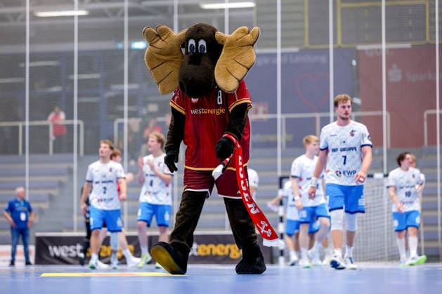 September 23, 2026, Round 2 of the DHB Cup, TuSEM Essen 1, VfL Potsdam. Disappointed faces after Essen s loss to Potsdam. Mascot Elmar the Moose is disappointed. Disappointment in North Rhine-Westphalia, Germany