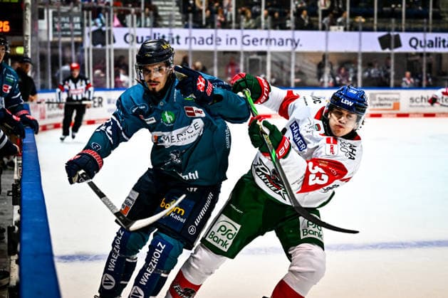 Daniel Neumann, Iserlohn Roosters, 22; Tim Wohlgemuth, Augsburger Panther, 33, GER, Iserlohn Roosters vs. Augsburger Panther, ice hockey, Penny DEL, Matchday 3, 2026–2027 season, September 24, 2026, GER, Iserlohn Roosters vs. Augsburger Panther, Ice Hockey, Penny DEL, Matchday 3, 2026–2027 Season, September 24, 2026, Iserlohn Copyright: xJonasxBrockmann Eibner-Pressefotx EP_JBN