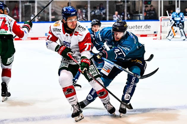 Maximilian Eisenmenger, Iserlohn Roosters, 41; Luke Toporowski, Augsburger Panther, 77; GER; Iserlohn Roosters vs. Augsburger Panther; ice hockey; Penny DEL; Matchday 3; 2026–2027 season; September 24, 2026, GER, Iserlohn Roosters vs. Augsburger Panther, Ice Hockey, Penny DEL, Matchday 3, 2026–2027 Season, September 24, 2026, Iserlohn Copyright: xJonasxBrockmann Eibner-Pressefotx EP_JBN