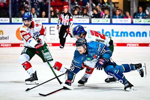 Peter Spornberger, Iserlohn Roosters, 50; Christian Hanke, Augsburger Panther, 25; Fabrizio Pilu, Augsburger Panther, 68, GER, Iserlohn Roosters vs. Augsburger Panther, Ice Hockey, Penny DEL, Matchday 3, 2026–2027 Season, September 24, 2026, GER, Iserlohn Roosters vs. Augsburger Panther, Ice Hockey, Penny DEL, Matchday 3, 2026–2027 Season, September 24, 2026, Iserlohn Copyright: xJonasxBrockmann Eibner-Pressefotx EP_JBN