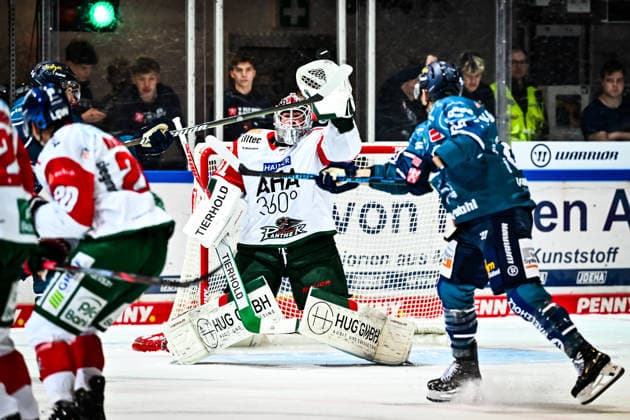 Peyton Jones of the Augsburger Panther, 41, blocks the puck in front of Cole Maier of the Iserlohn Roosters, 14, GER, Iserlohn Roosters vs. Augsburg Panthers, Ice Hockey, Penny DEL, Matchday 3, 2026–2027 Season, September 24, 2026, GER, Iserlohn Roosters vs. Augsburger Panther, Ice Hockey, Penny DEL, Matchday 3, 2026–2027 Season, September 24, 2026, Iserlohn Copyright: xJonasxBrockmann Eibner-Pressefotx EP_JBN