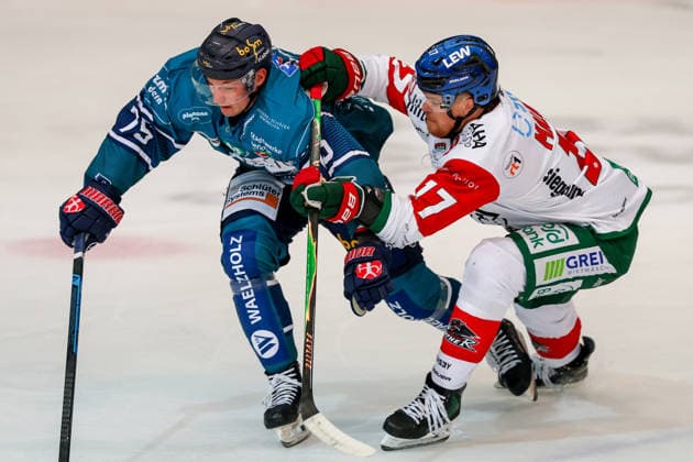September 24, 2026, xkwix, Ice Hockey, DEL, Iserlohn Roosters vs. Augsburger Panther, Eissporthalle am Seilersee, Match Day 3, 2026–2027 Season: Julian Napravnik (Iserlohn Roosters, No. 75) in a one-on-one battle against Sean Malone (Augsburger Panther, No. 17). Photo by xKamilxWilkowskixPressefotoKochx, North Rhine-Westphalia, Germany