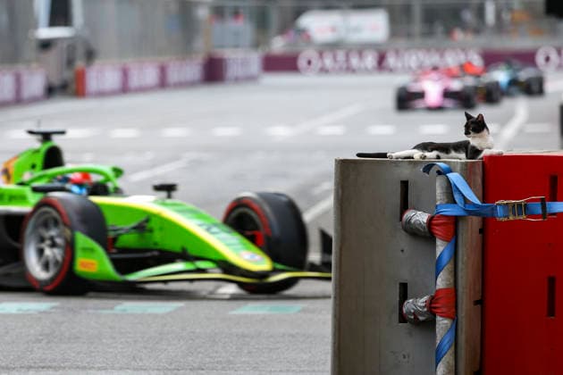 AUTO - FORMULA 2 2026 - BAKU Baku cat track side during the 12th round of the 2026 FIA Formula 2 Championship from September 24 to 26, 2026 on the Baku City Circuit, in Baku, Azerbaijan - BakuAzerbaijan  Copyright: xXavixBonillax
