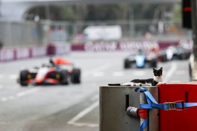 AUTO - FORMULA 2 2026 - BAKU Baku cat track side during the 12th round of the 2026 FIA Formula 2 Championship from September 24 to 26, 2026 on the Baku City Circuit, in Baku, Azerbaijan - BakuAzerbaijan  Copyright: xXavixBonillax