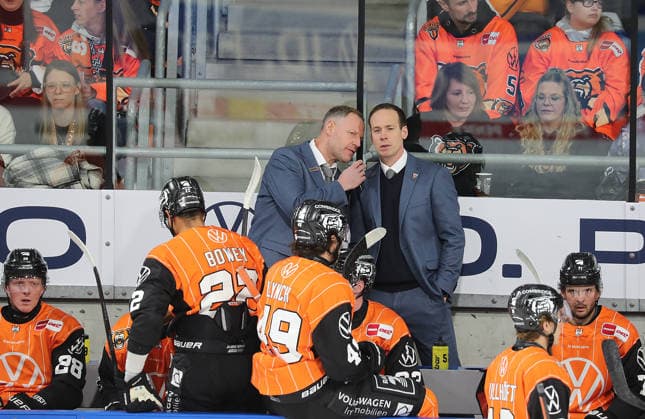 Head Coach Tyler Haskins, Grizzlys Wolfsburg; right: Ice Hockey, DEL, Penny DEL, Men s, 2026–2027 Season, Grizzlys Wolfsburg vs. Schwenninger Wild Wings