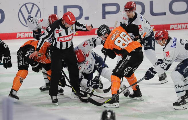 Battle for the puck; on the right, Tyler Morley, Grizzlys Wolfsburg Ice Hockey, DEL, Penny DEL, Men s, 2026–2027 Season: Grizzlys Wolfsburg vs. Schwenninger Wild Wings