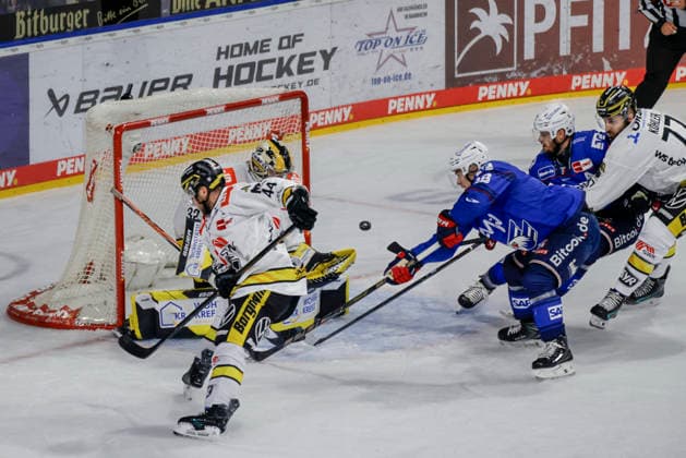 September 25, 2026, xhettx, Penny DEL ice hockey, Adler Mannheim vs. Krefeld Pinguine (left)