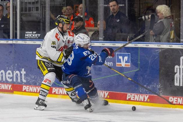 DEL, German Ice Hockey League, 2026–27 Season, Matchday 3: Adler Mannheim vs. Krefeld Pinguine. Zack Dybowski (44, Krefeld) and Alexander Ehl (28, Mannheim) in a battle along the boards. Copyright: xUdoxHerrmannx