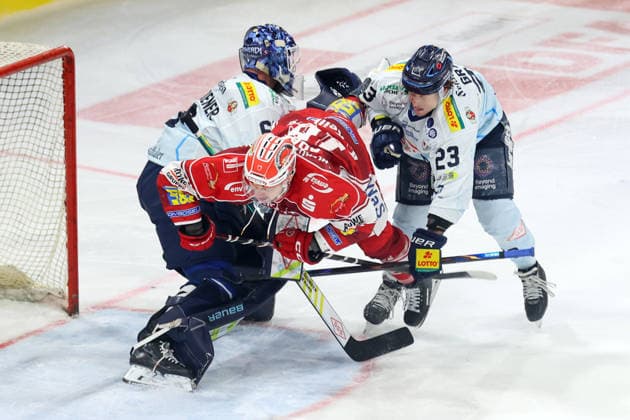 Sahnpark Crimmitschau, September 25, 2026; 2026–27 Season; Ice Hockey; 2nd Bundesliga; Regular Season; Game 3; Saxony Ice Rink; Eispiraten; Eispiraten vs. Dresdner Eislöwen; Collin Adams; Red flag flies between Janick Schwendener, Dresden’s goalie and Oliver Granz, No. 23, Dresden, through Crimmitschau, Saxony, Germany