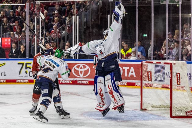 Jack LaFontaine, Eisbären Berlin, 45, jumps up and retrieves the puck from the net; Brandon Davidson, Eisbären Berlin, 44, vs. Frederik Storm, Kölner Haie, 19; Kölner Haie vs. Eisbären Berlin, ice hockey, Penny DEL, Matchday 03, 2026–2027, September 25, 2026, Kölner Haie vs. Eisbären Berlin, Ice Hockey, Penny DEL, Matchday 03, 2026–2027, September 25, 2026, Cologne Copyright: xEibner-Pressefoto GerhardxWingenderx EP_GWR