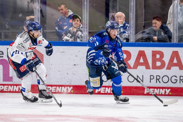 Battle for the Puck: Face-off between Kenny Agostino (ERC Ingolstadt, 11) and Filip Varejcka (Straubing Tigers, 90), Straubing Tigers vs. ERC Ingolstadt, Ice Hockey, DEL, 2026–2027 Season, Matchday 3, September 25, 2026 Photo: HMB Media, Heike Feiner Copyright: HMBxMedia HeikexFeiner