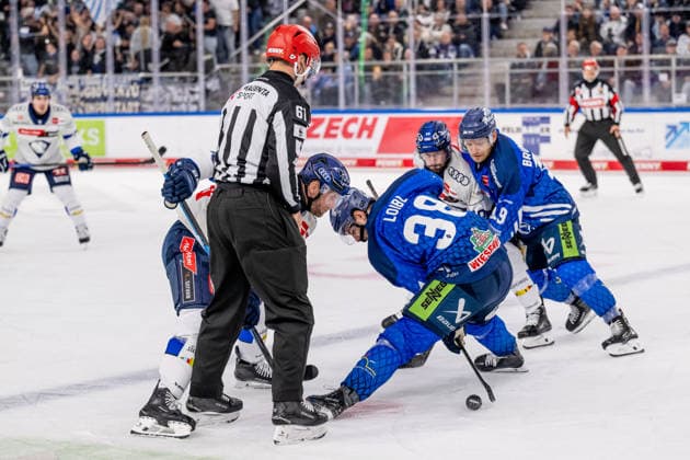 Linesman Markus Merk officiates a faceoff between Daniel Pietta of ERC Ingolstadt, 86, and Stefan Loibl of the Straubing Tigers, 38 (GER), Straubing Tigers vs. ERC Ingolstadt, ice hockey, DEL, 2026–2027 season, Matchday 3, September 25, 2026. Photo: HMB Media, Heike Feiner Copyright: HMBxMedia HeikexFeiner