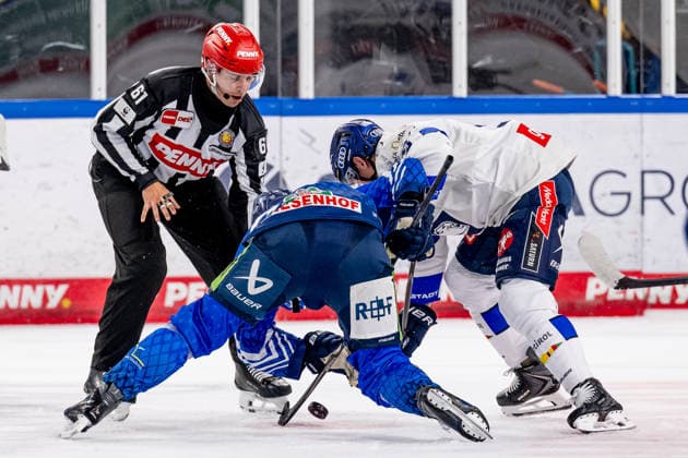 Linesman Markus Merk officiates a faceoff between Stefan Loibl of the Straubing Tigers, 38, and Myles Powell of ERC Ingolstadt, 09 GER; Straubing Tigers vs. ERC Ingolstadt, ice hockey, DEL, 2026–2027 season, Matchday 3, September 25, 2026. Photo: HMB Media, Heike Feiner Copyright: HMBxMedia HeikexFeiner