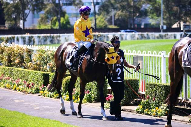 26th September 2026; Rosehill Gardens Racecourse, Sydney, Australia; Yulong Golden Rose Day Horse Racing; Asahi Super Dry Colin Stephen Quality, Bella Montagna, trained by Gai Waterhouse &amp; Adrian Bolt, Jockey Timothy Allan Clark during the pre-race parade KevinxManning