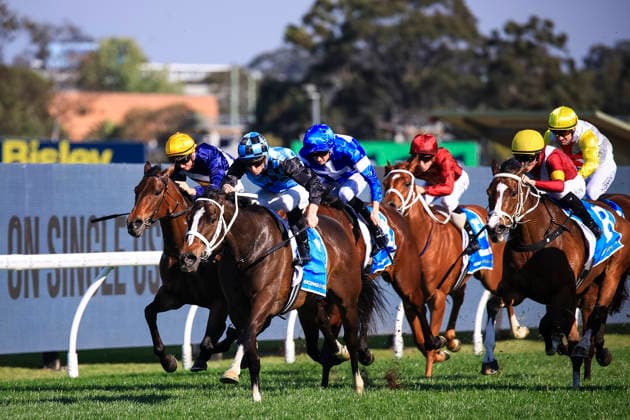 26th September 2026; Rosehill Gardens Racecourse, Sydney, Australia; Yulong Golden Rose Day Horse Racing; the field races to the finishing post KevinxManning