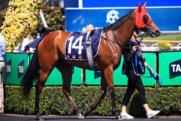 26th September 2026; Rosehill Gardens Racecourse, Sydney, Australia; Yulong Golden Rose Day Horse Racing; Midway Handicap, Call Me Sassy, trained by David Pfieffer, Jockey Mollie May Fitzgerald, during the pre-race parade KevinxManning
