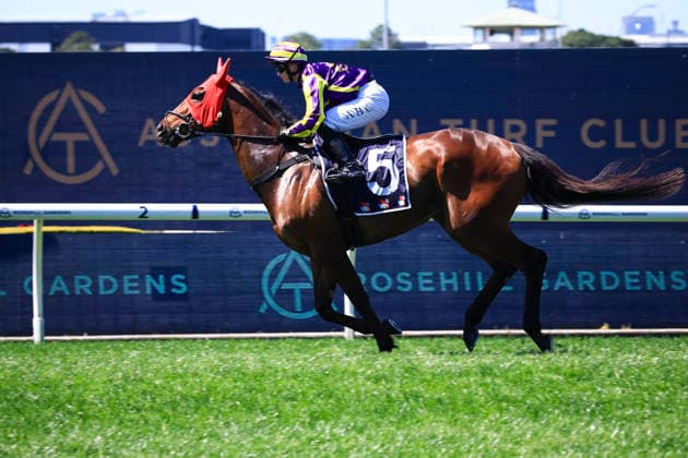 26th September 2026; Rosehill Gardens Racecourse, Sydney, Australia; Yulong Golden Rose Day Horse Racing; Midway Handicap, Last Druid, trained by Tracey Bartley, Jockey Alysha B Collett canters to the barriers KevinxManning