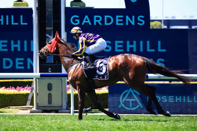26th September 2026; Rosehill Gardens Racecourse, Sydney, Australia; Yulong Golden Rose Day Horse Racing; Midway Handicap, Last Druid, trained by Tracey Bartley, Jockey Alysha B Collett canters to the barriers KevinxManning