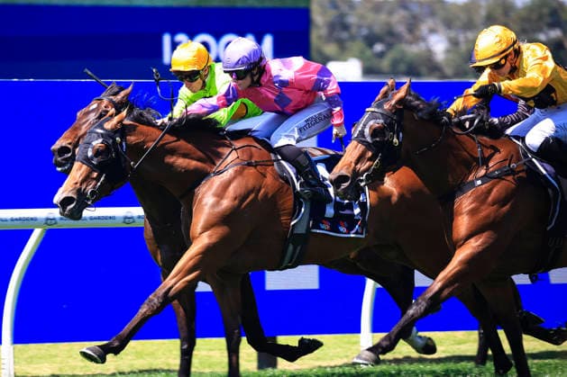 26th September 2026; Rosehill Gardens Racecourse, Sydney, Australia; Yulong Golden Rose Day Horse Racing; Midway Handicap, Call Me Sassy, trained by David Pfieffer, Jockey Mollie May Fitzgerald closes in on the finishing post KevinxManning