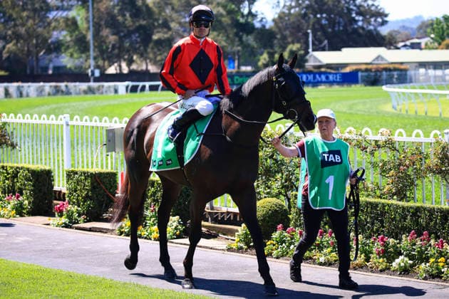26th September 2026; Rosehill Gardens Racecourse, Sydney, Australia; Yulong Golden Rose Day Horse Racing; Tab Highway Handicap, Condone, trained by Mack Griffith, Jockey Aaron Bullock during the pre-race parade KevinxManning