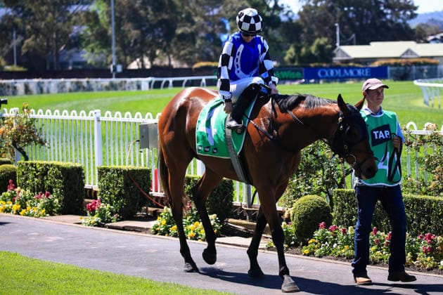 26th September 2026; Rosehill Gardens Racecourse, Sydney, Australia; Yulong Golden Rose Day Horse Racing; Tab Highway Handicap, Whateley, trained by Todd Howlett, Jockey Shannen Llewellyn during the pre-race parade KevinxManning
