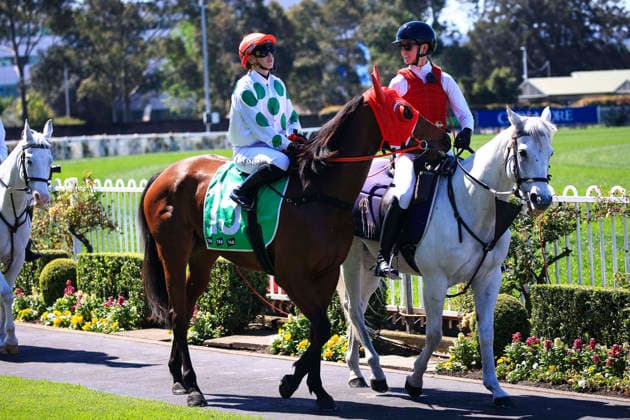 26th September 2026; Rosehill Gardens Racecourse, Sydney, Australia; Yulong Golden Rose Day Horse Racing; Tab Highway Handicap, Heart Balm, trained by Jim Scobie, Jockey Siena Grima during the pre-race parade KevinxManning
