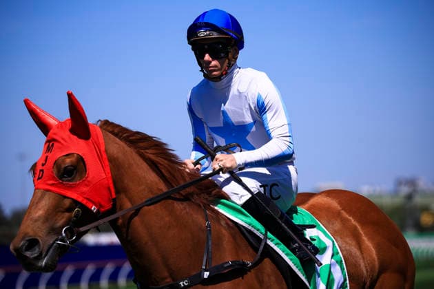 26th September 2026; Rosehill Gardens Racecourse, Sydney, Australia; Yulong Golden Rose Day Horse Racing; Tab Highway Handicap, Zou Force, trained by Matthew Dale, Jockey Tim Clark canters to the starting barrier KevinxManning