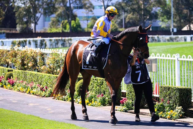 26th September 2026; Rosehill Gardens Racecourse, Sydney, Australia; Yulong Golden Rose Day Horse Racing; Asahi Super Dry Colin Stephen Quality, Spacetime Legend, trained by Joel Wilkes, Jockey Reece Jones during the pre-race parade KevinxManning