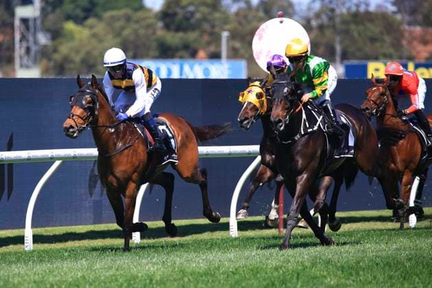26th September 2026; Rosehill Gardens Racecourse, Sydney, Australia; Yulong Golden Rose Day Horse Racing; Asahi Super Dry Colin Stephen Quality, Sam Hawkens, trained by John Oshea &amp; Tom Charlton, Jockey Kerrin McEvoy leads towards the finishing post KevinxManning