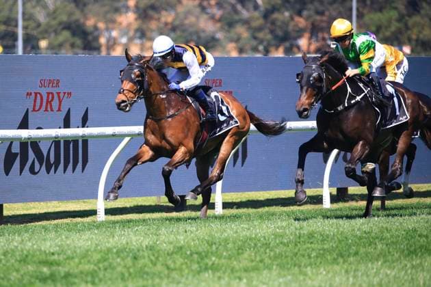 26th September 2026; Rosehill Gardens Racecourse, Sydney, Australia; Yulong Golden Rose Day Horse Racing; Asahi Super Dry Colin Stephen Quality, Sam Hawkens, trained by John Oshea &amp; Tom Charlton, Jockey Kerrin McEvoy leads towards the finishing post KevinxManning