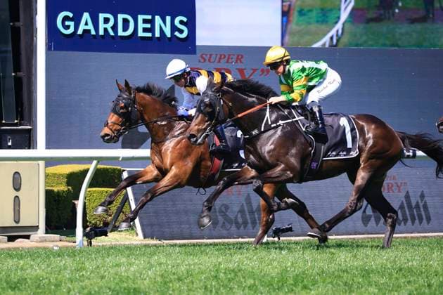 26th September 2026; Rosehill Gardens Racecourse, Sydney, Australia; Yulong Golden Rose Day Horse Racing; Asahi Super Dry Colin Stephen Quality, Sam Hawkens, trained by John Oshea &amp; Tom Charlton, Jockey Kerrin McEvoy is closely followed So You Are, trained by Bjorn Baker, Jockey Rachel King KevinxManning