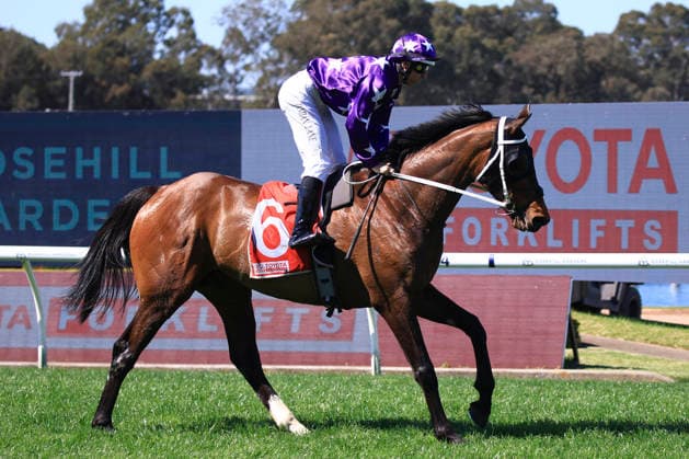 26th September 2026; Rosehill Gardens Racecourse, Sydney, Australia; Yulong Golden Rose Day Horse Racing; Toyota Forklifts Handicap, Pinhole, trained by Chris Waller, Jockey Damian Mitchell Lane KevinxManning