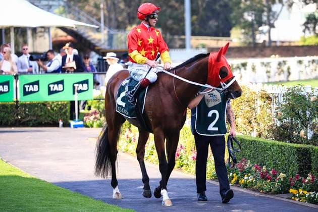 26th September 2026; Rosehill Gardens Racecourse, Sydney, Australia; Yulong Golden Rose Day Horse Racing; Yulong Golden Rose, Guest House, trained by Mick Price &amp; Michael Kent Jnr, Jockey Zac Lloyd during the pre-race parade KevinxManning