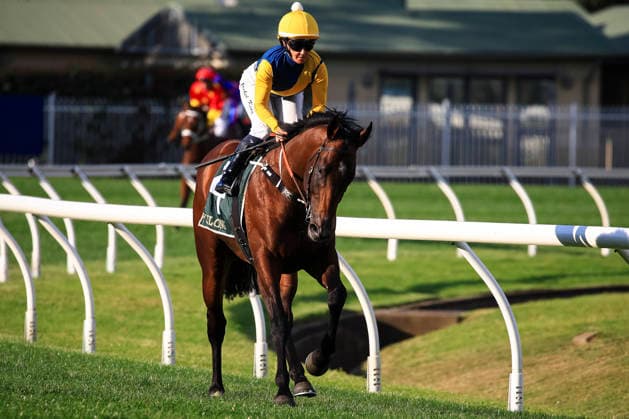 26th September 2026; Rosehill Gardens Racecourse, Sydney, Australia; Yulong Golden Rose Day Horse Racing; Yulong Golden Rose, Warwoven, trained by Bjorn Baker, Jockey Rachel King canters to the winners circle KevinxManning