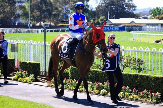 26th September 2026; Rosehill Gardens Racecourse, Sydney, Australia; Yulong Golden Rose Day Horse Racing; Midway Handicap, Island Dec, trained by Robert &amp; Luke Price, Jockey Tommy Berry during the pre-race parade KevinxManning